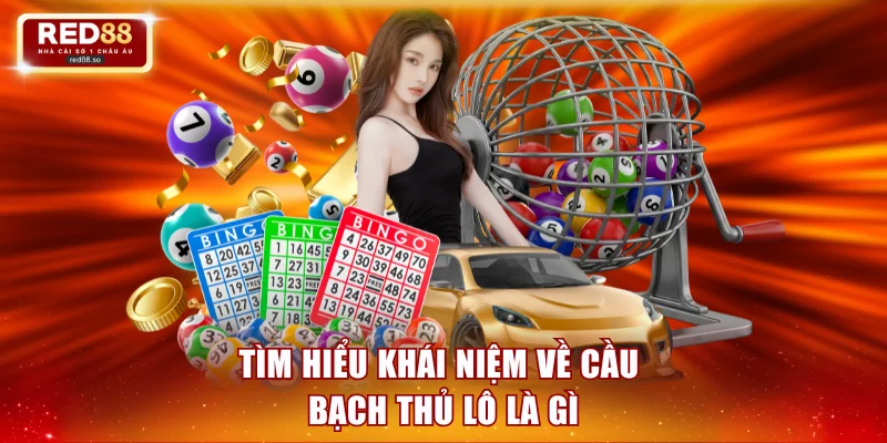 Tìm hiểu khái niệm về cầu bạch thủ lô là gì